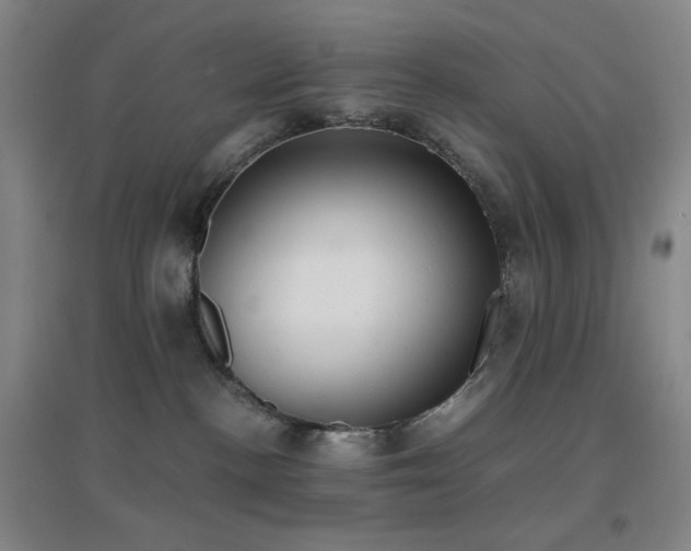 X0000096730188200802051449