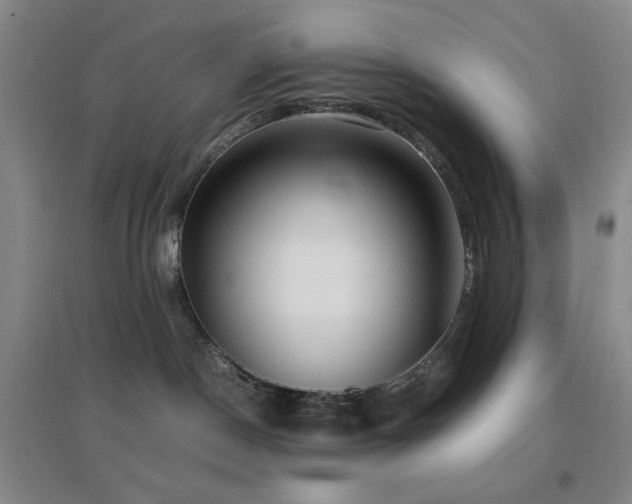 X0000096730190200802051449