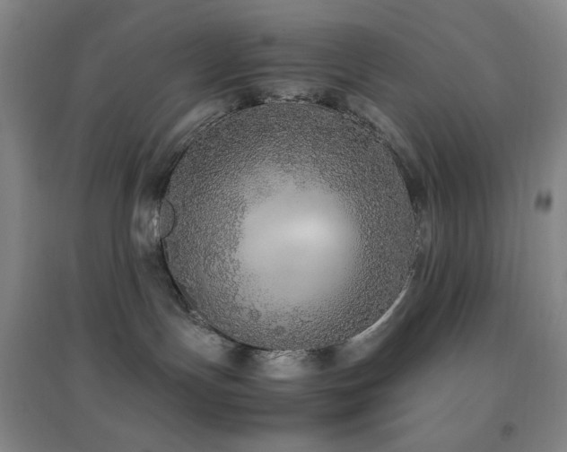 X0000096730191200802051449