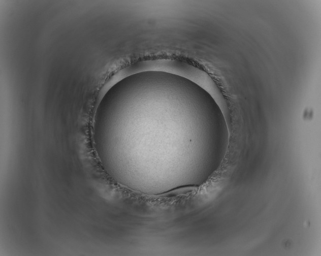 X0000096730192200802051449