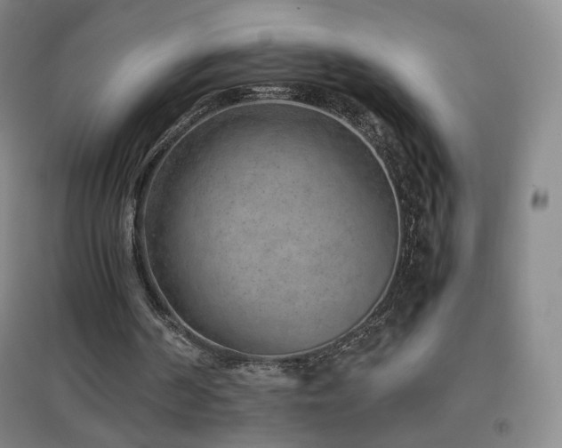 X0000096730194200802051449