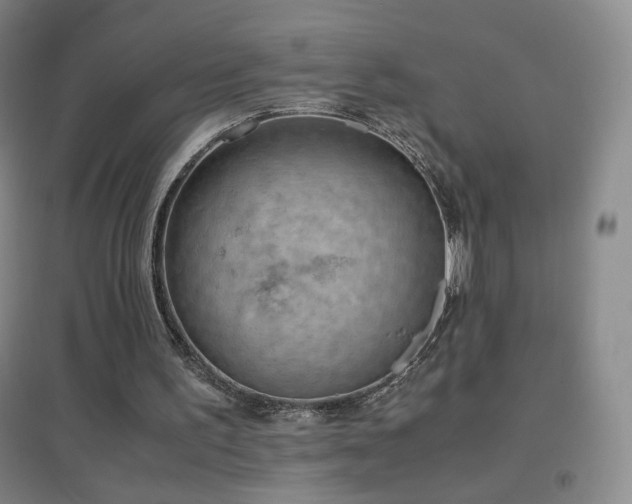 X0000096730195200802051449