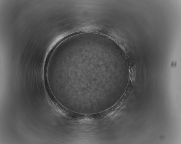 X0000096730196200802051449