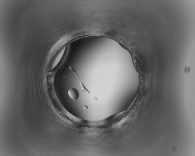 X0000096730197200802051449