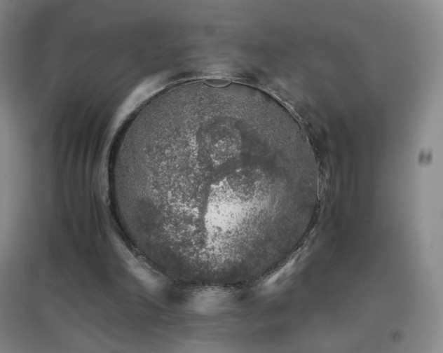X0000096730198200802051448