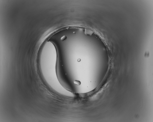 X0000096730199200802051448