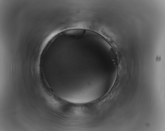 X0000096730200200802051448