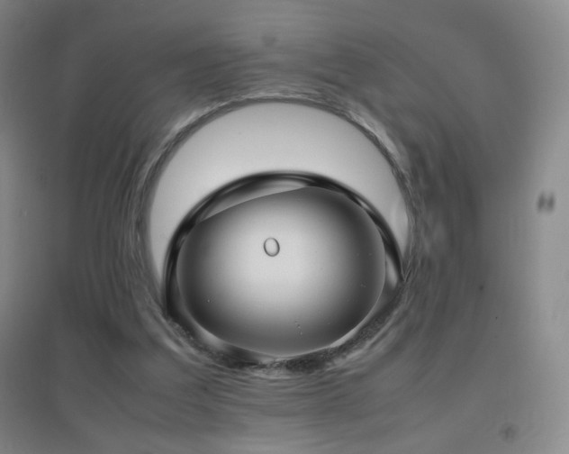 X0000096730203200802051448