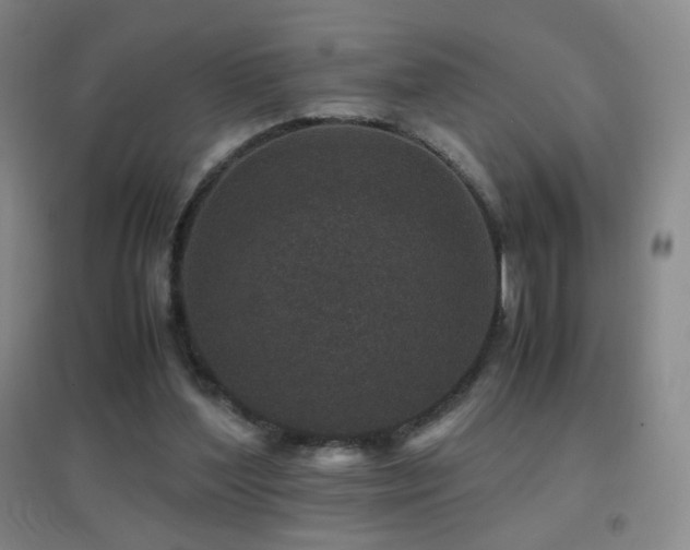 X0000096730204200802051448