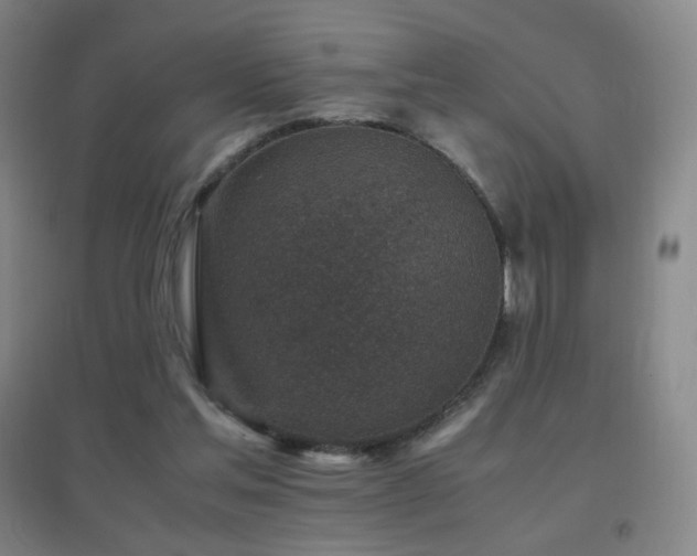 X0000096730205200802051448