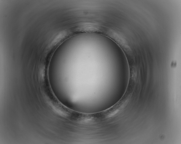X0000096730206200802051448
