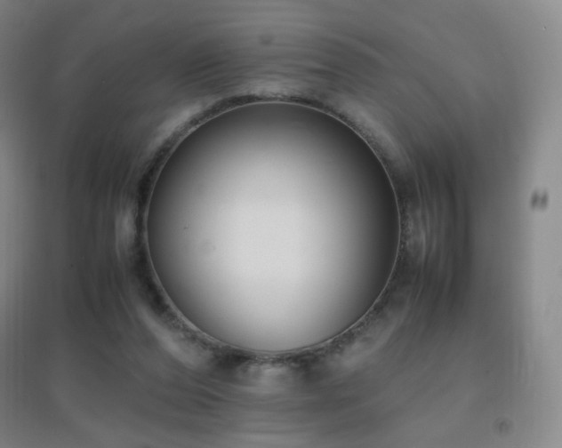 X0000096730208200802051448