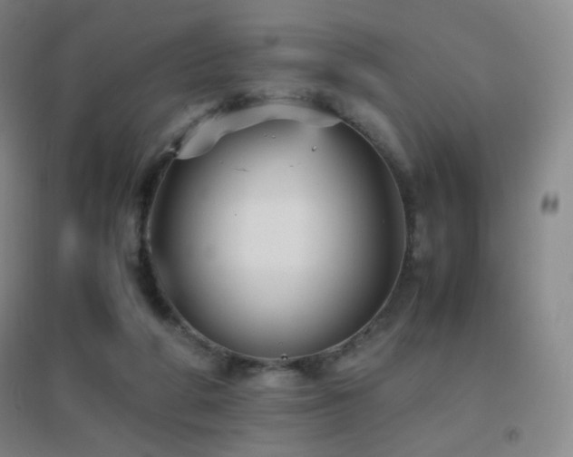 X0000096730210200802051448