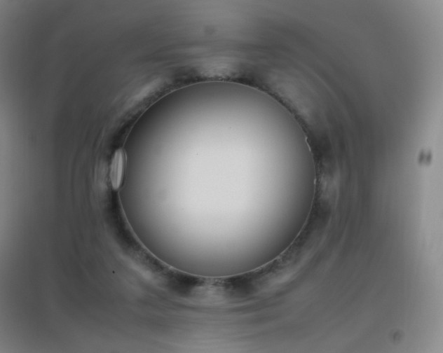 X0000096730211200802051448
