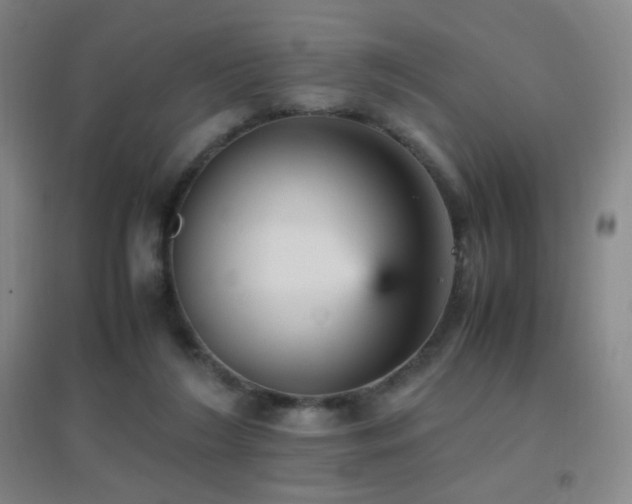 X0000096730212200802051448