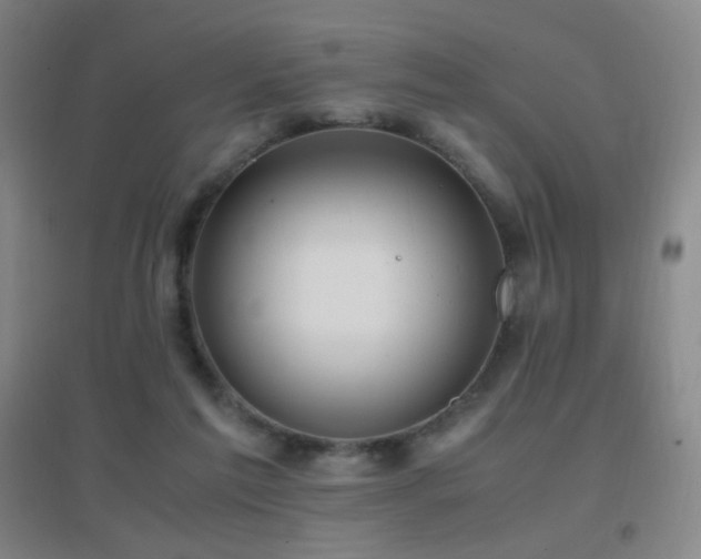 X0000096730213200802051448