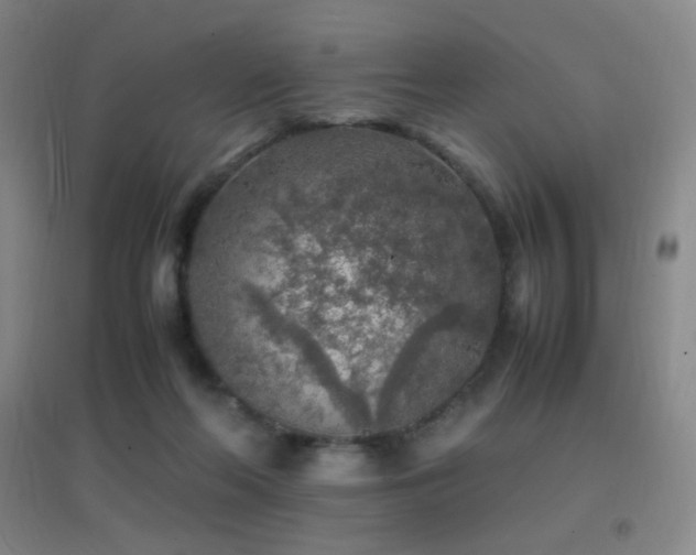 X0000096730214200802051448