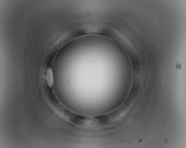 X0000096730215200802051448
