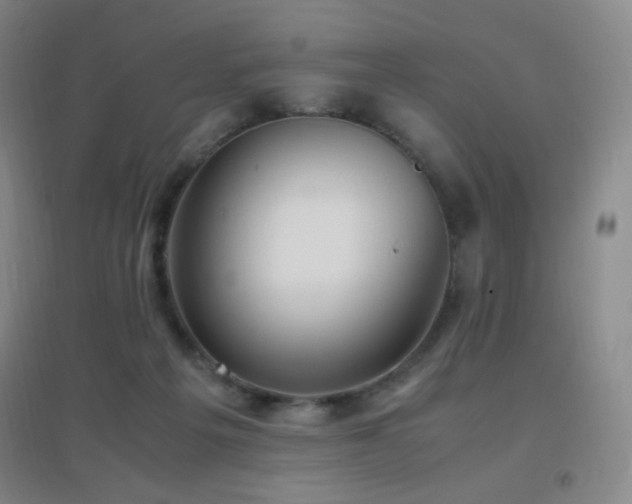 X0000096730217200802051448