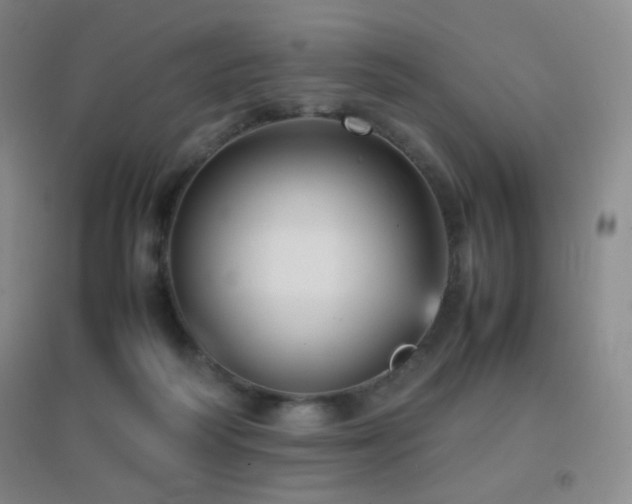 X0000096730218200802051448