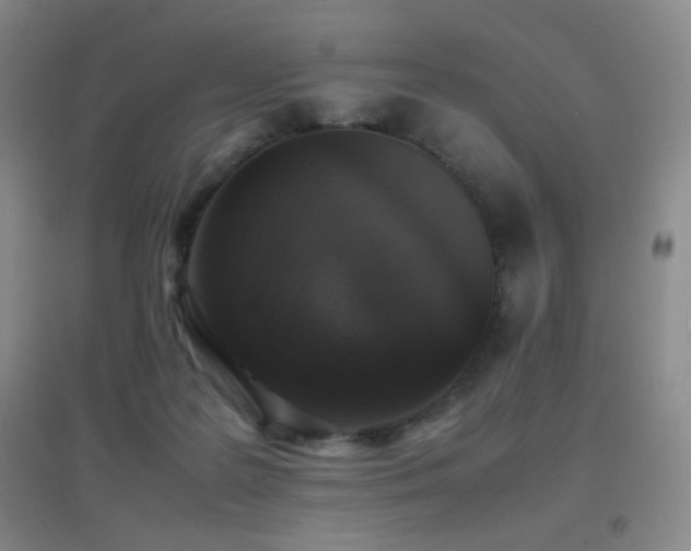 X0000096730219200802051448