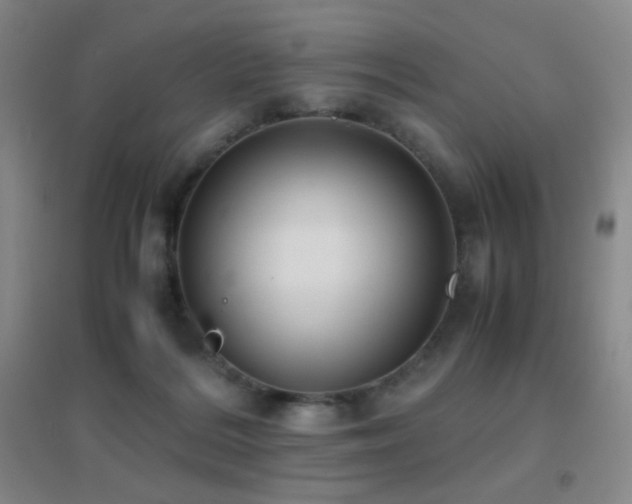 X0000096730220200802051448