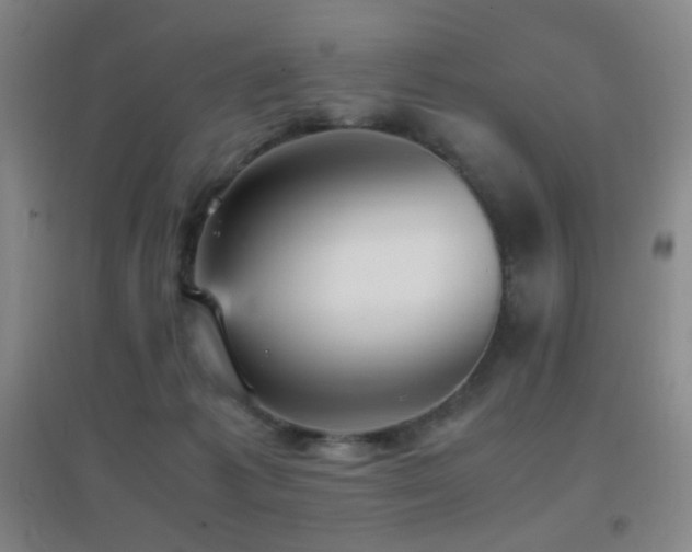 X0000096730221200802051448