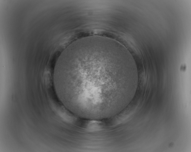 X0000096730222200802051448