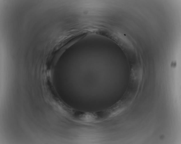 X0000096730223200802051448