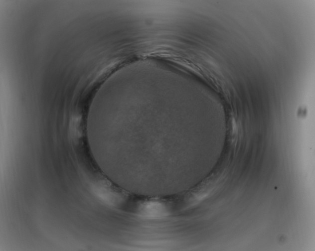X0000096730224200802051448