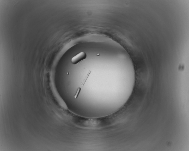 X0000096730225200802051448