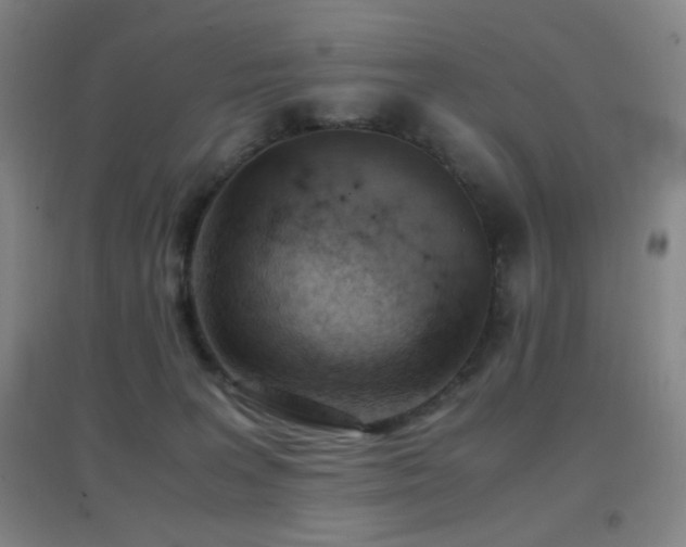 X0000096730227200802051448