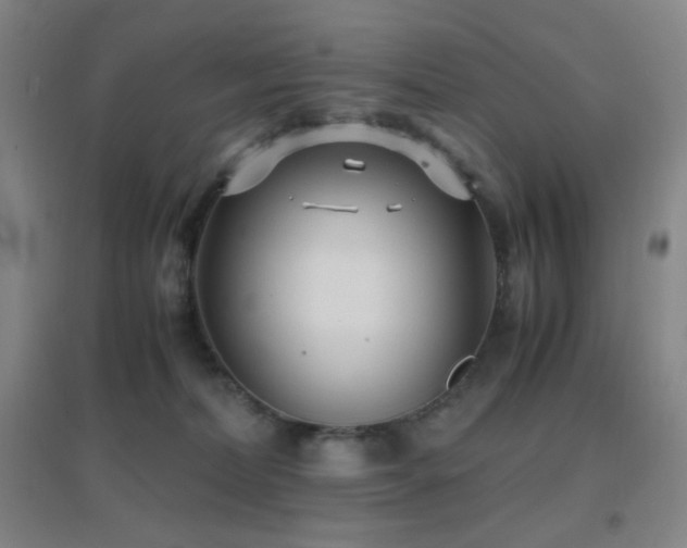 X0000096730228200802051448