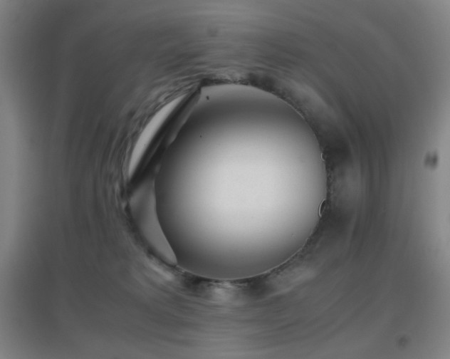 X0000096730229200802051448