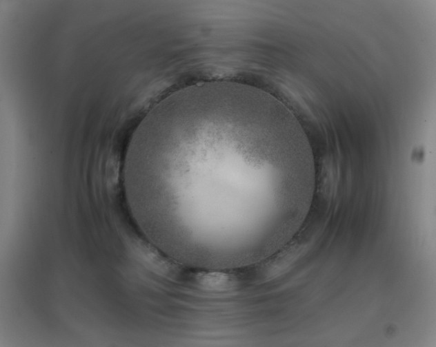 X0000096730230200802051448