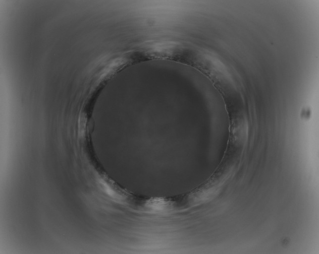 X0000096730231200802051448