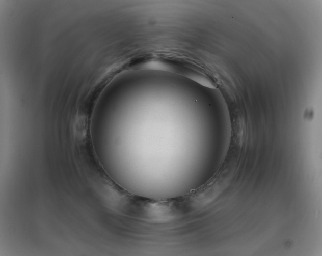 X0000096730232200802051448