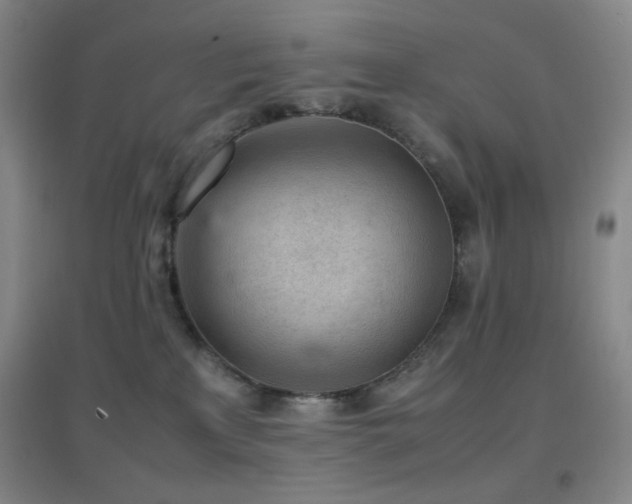 X0000096730233200802051448