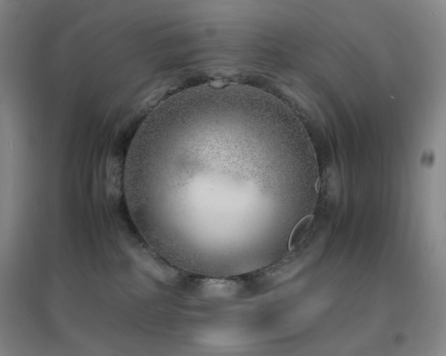 X0000096730234200802051448