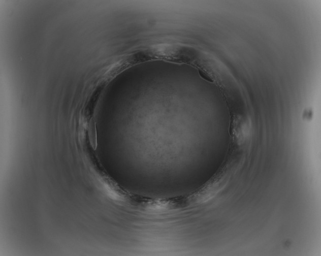 X0000096730235200802051448