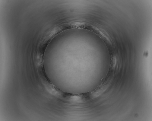 X0000096730236200802051448