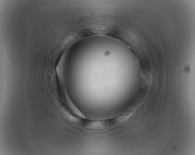 X0000096730237200802051448
