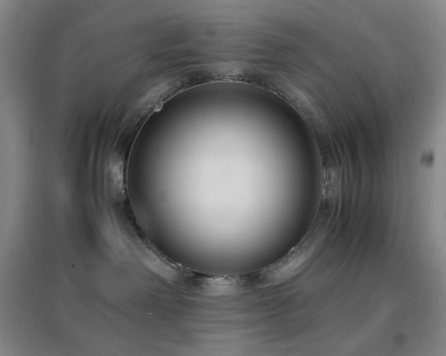 X0000096730238200802051448