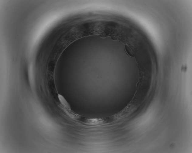 X0000096730239200802051448