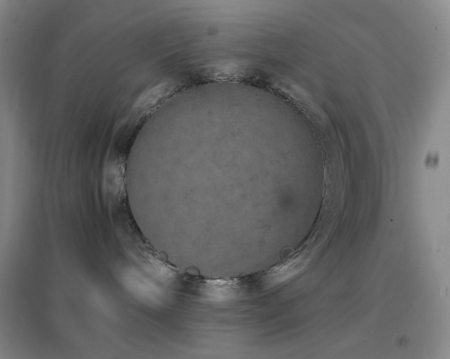 X0000096730240200802051448