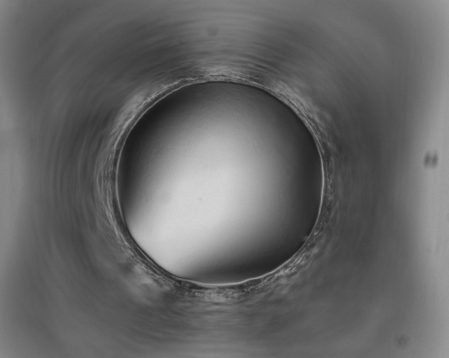X0000096730241200802051447