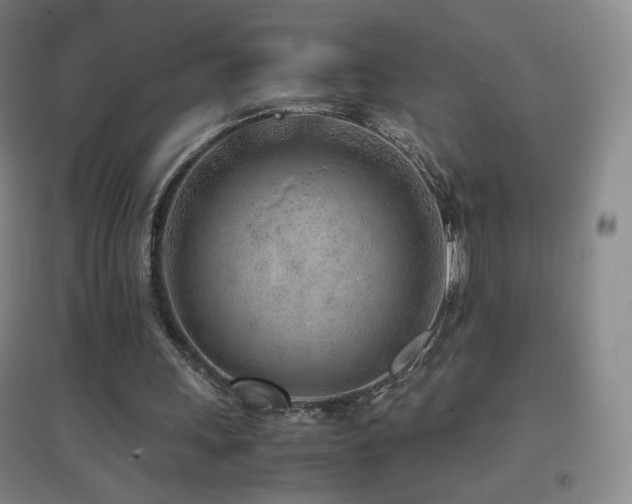 X0000096730243200802051447