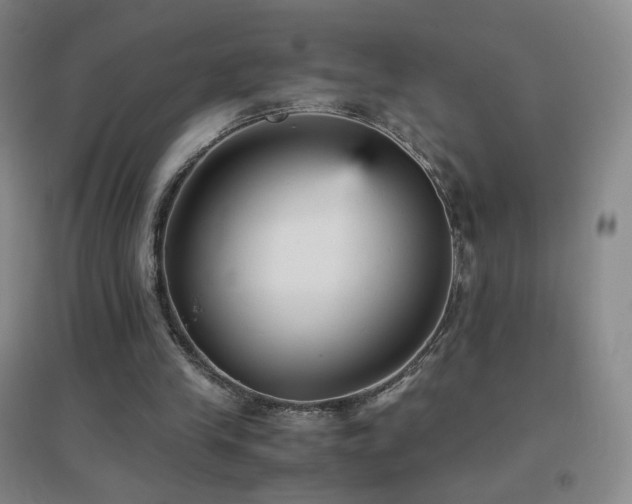 X0000096730245200802051447