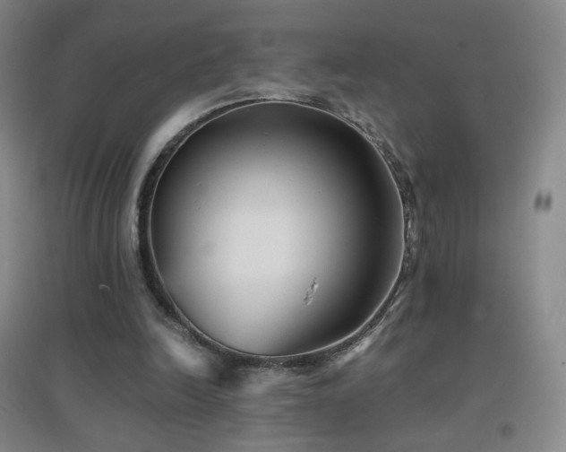 X0000096730246200802051447