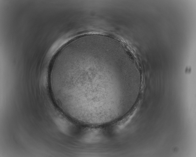 X0000096730247200802051447